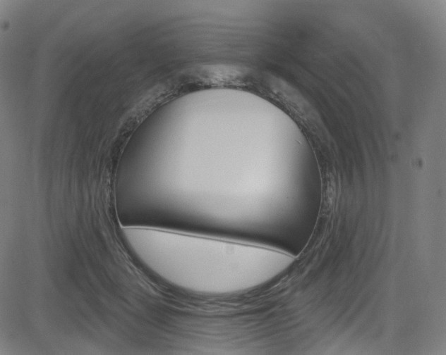 X0000085300461200703091124