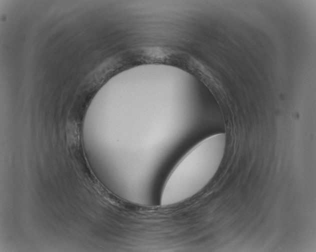 X0000085300467200703091124