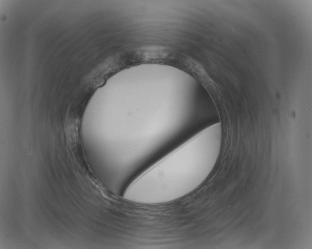 X0000085300475200703091124