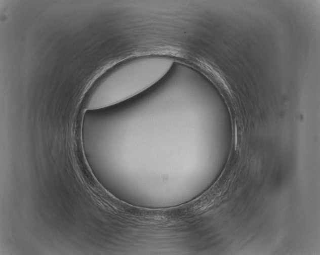X0000085300483200703091123