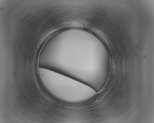 X0000085300487200703091123