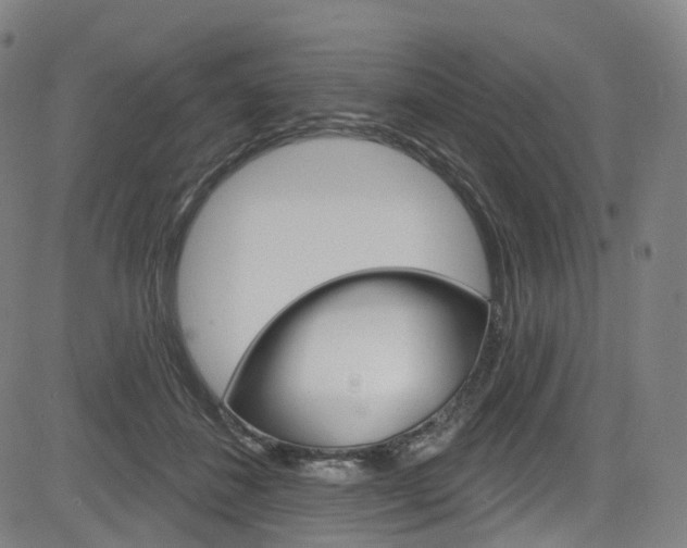 X0000085300508200703091123