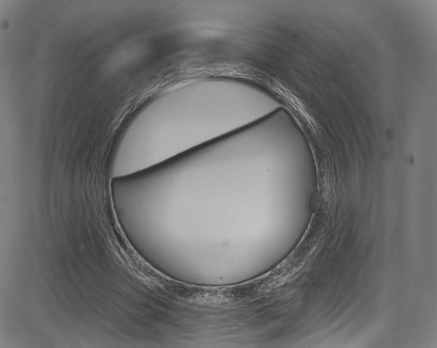 X0000085300537200703091122