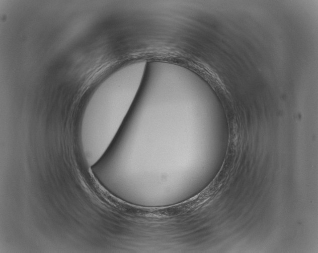 X0000085300542200703091122