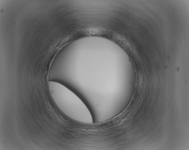X0000085300545200703091122