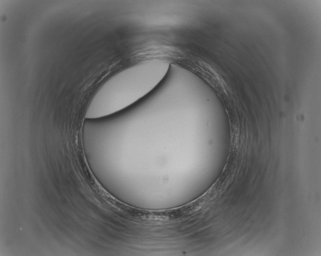 X0000085300549200703091122