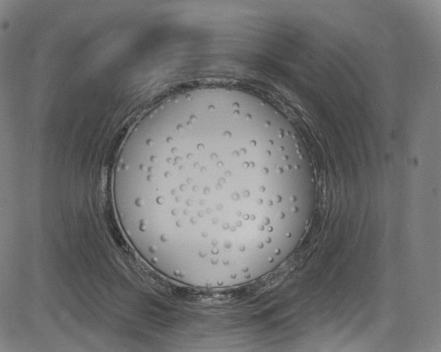 X0000085300550200703091122
