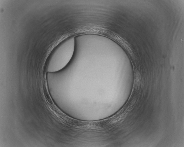X0000085300578200703091122