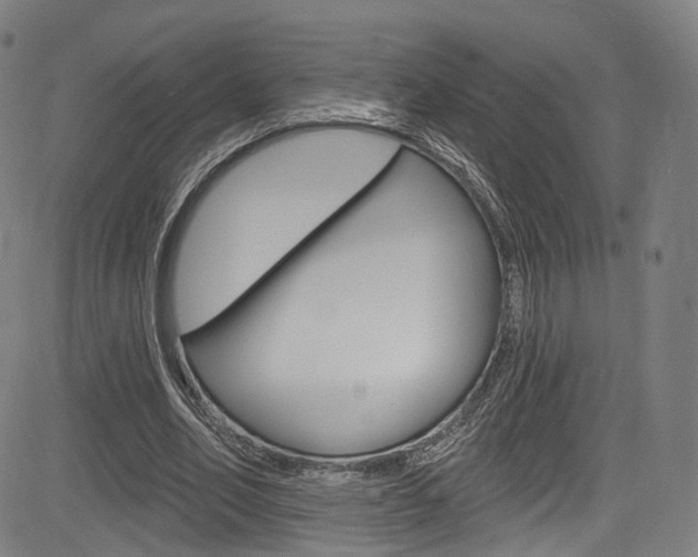 X0000085300582200703091122