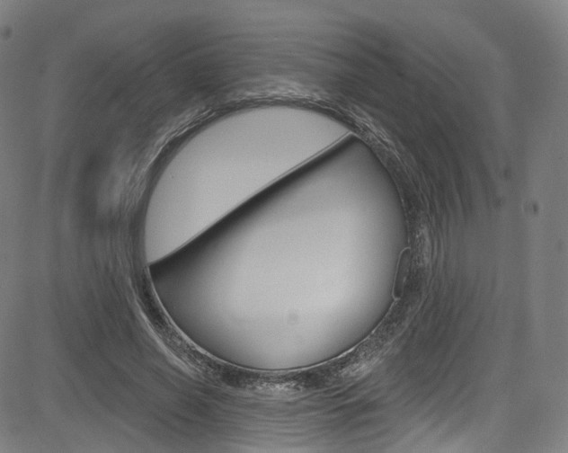 X0000085300638200703091120