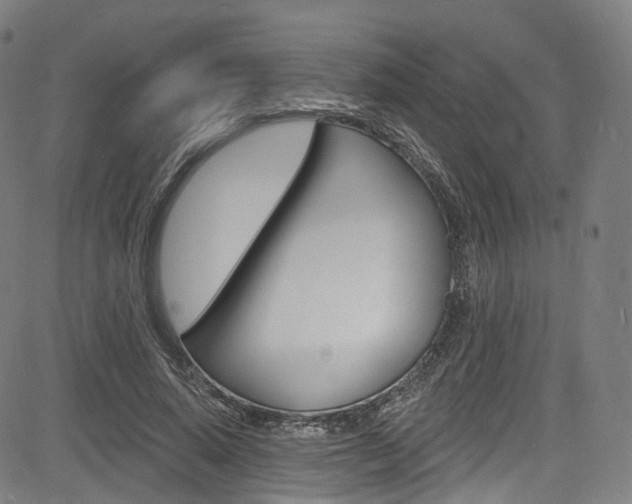 X0000085300640200703091120