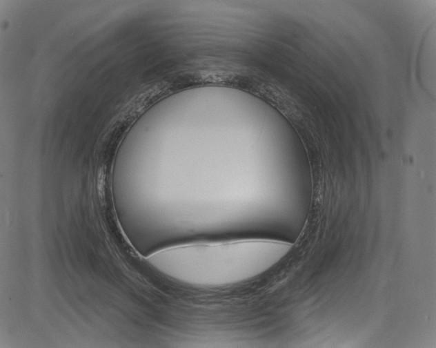 X0000085300646200703091121
