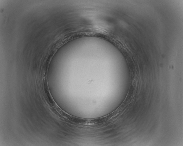 X0000085300647200703091121