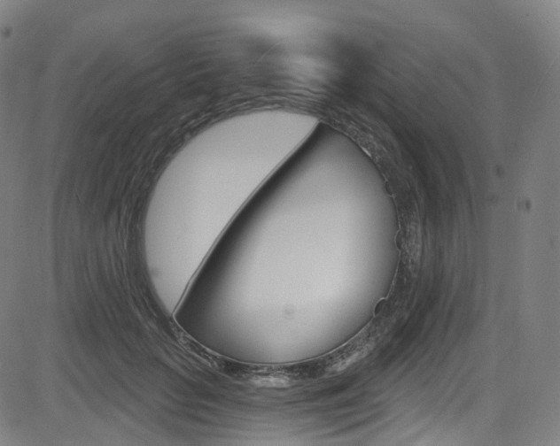 X0000085300653200703091121
