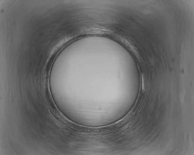 X0000085300675200703091120