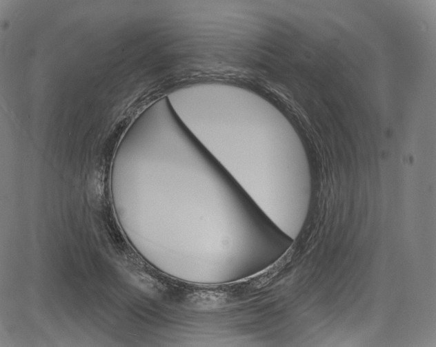 X0000085300691200703091120