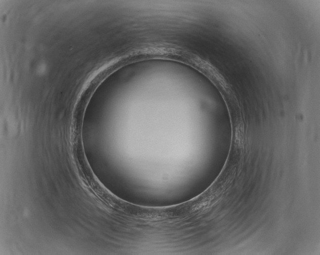X0000085300724200703091119