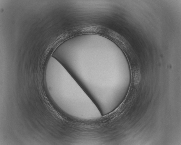 X0000085300729200703091119