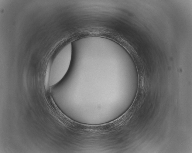 X0000085300733200703091119