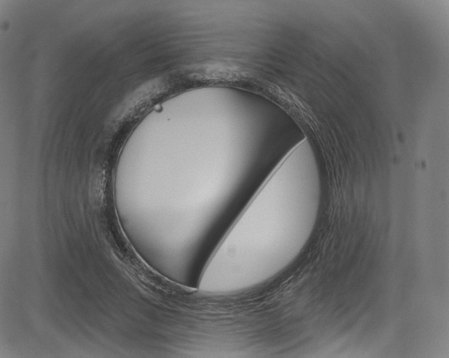 X0000085300735200703091119