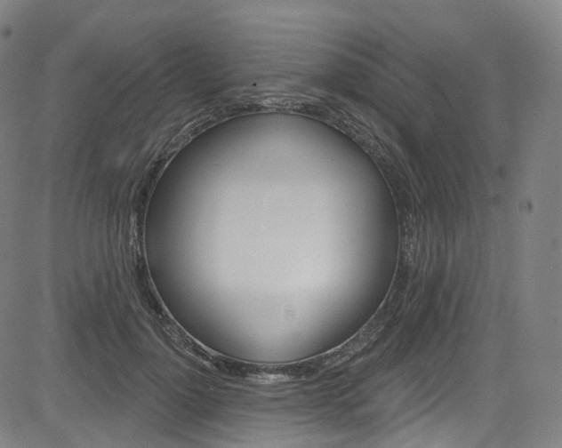 X0000085300748200703091119