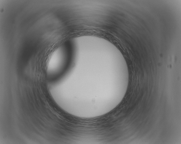 X0000085300750200703091119