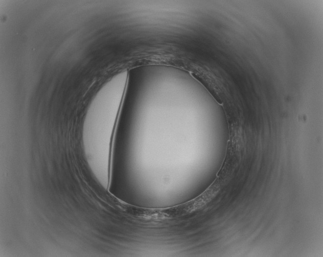 X0000085300752200703091119