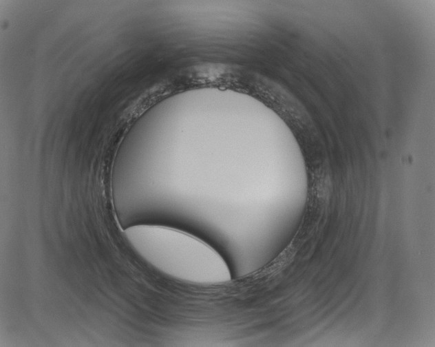 X0000085300754200703091119