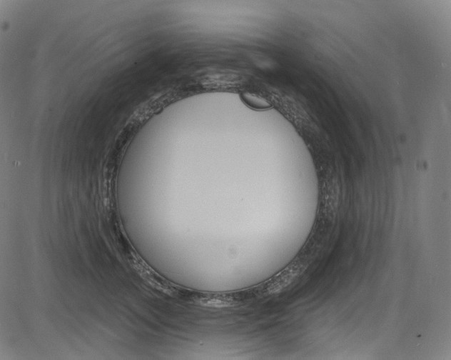 X0000085300755200703091119