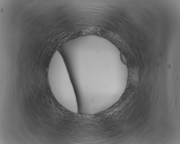 X0000085300770200703091119