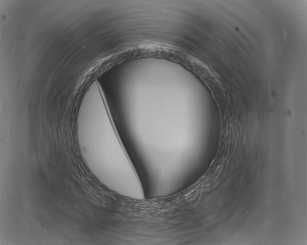 X0000085300776200703091118