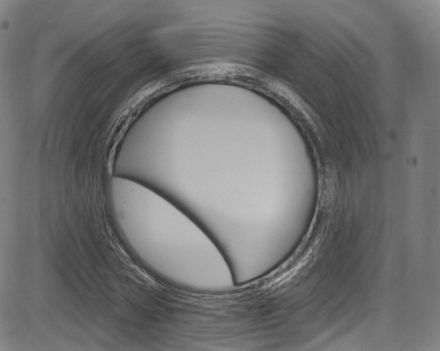 X0000085300778200703091118