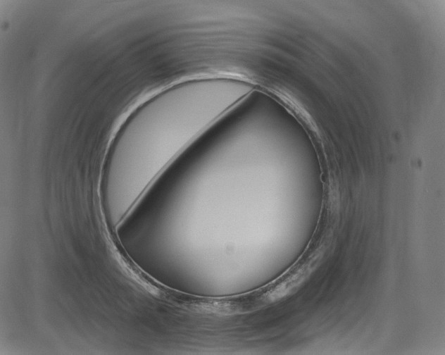 X0000085300797200703091118