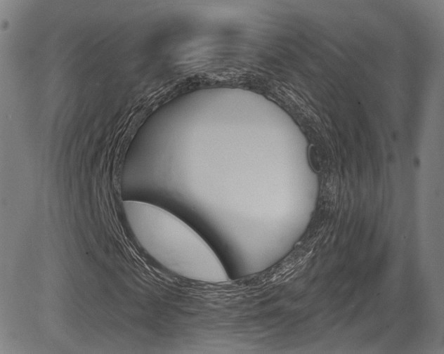 X0000085300817200703091117