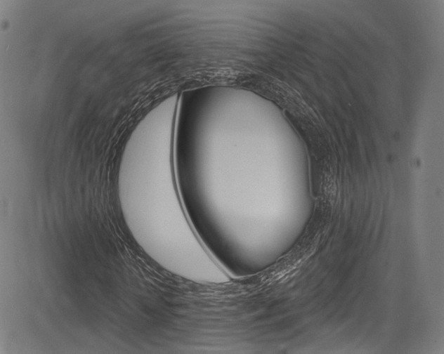 X0000085300818200703091117