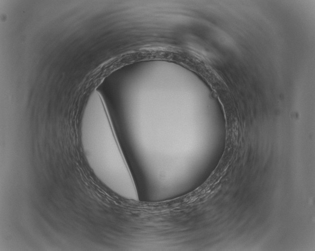 X0000085300821200703091117