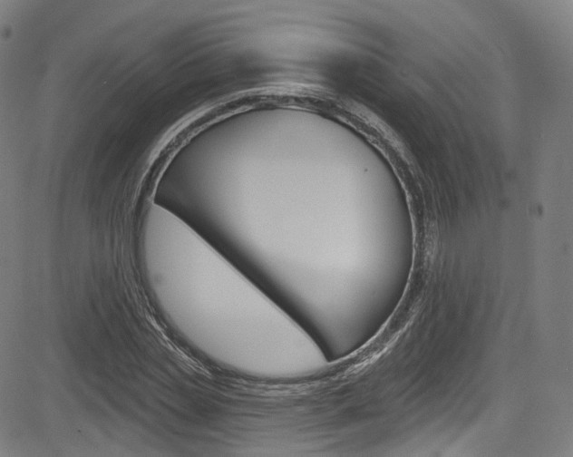 X0000085300829200703091117