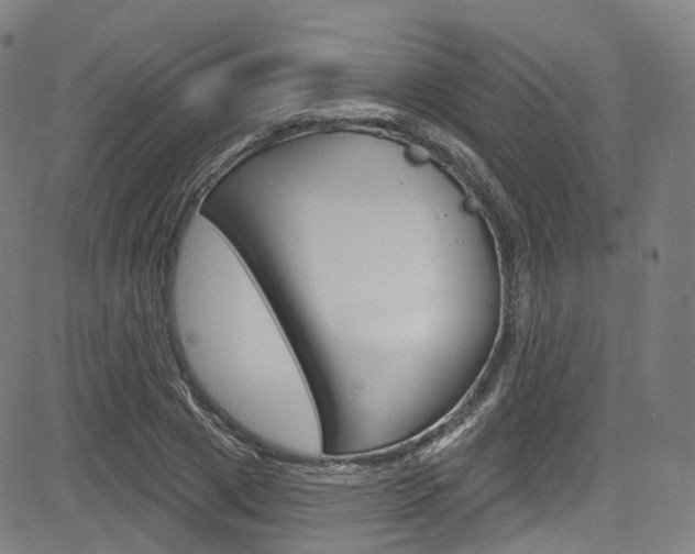 X0000085300833200703091117