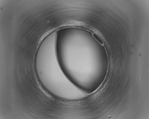 X0000085300842200703091117
