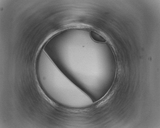 X0000085300843200703091117