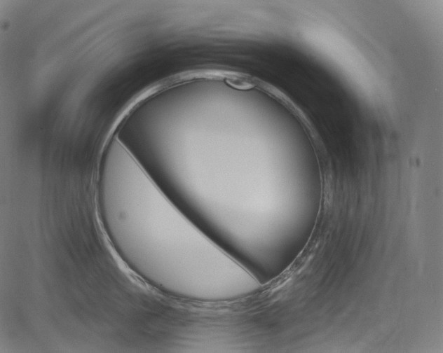 X0000085300861200703091118