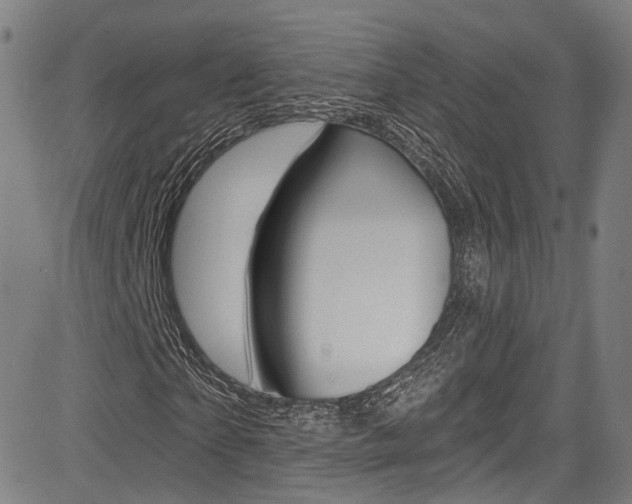 X0000085300865200703091117