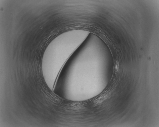 X0000085300867200703091117