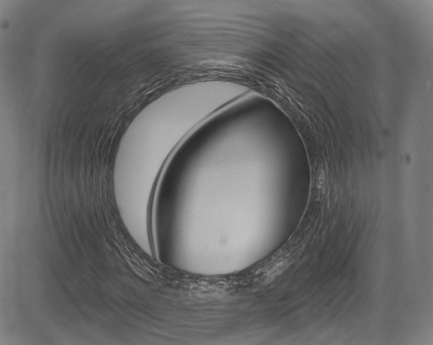 X0000085300868200703091117