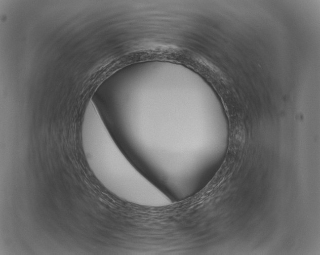 X0000085300869200703091117