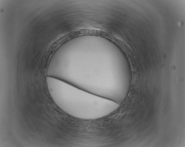 X0000085300870200703091117
