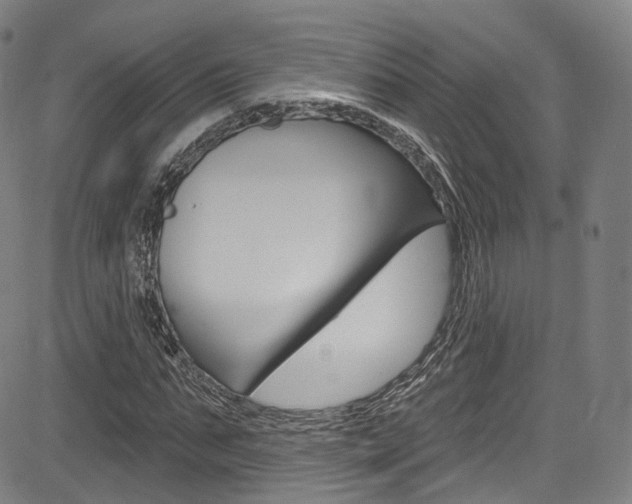 X0000085300871200703091117