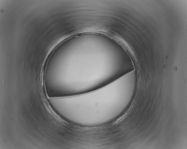 X0000085300892200703091117