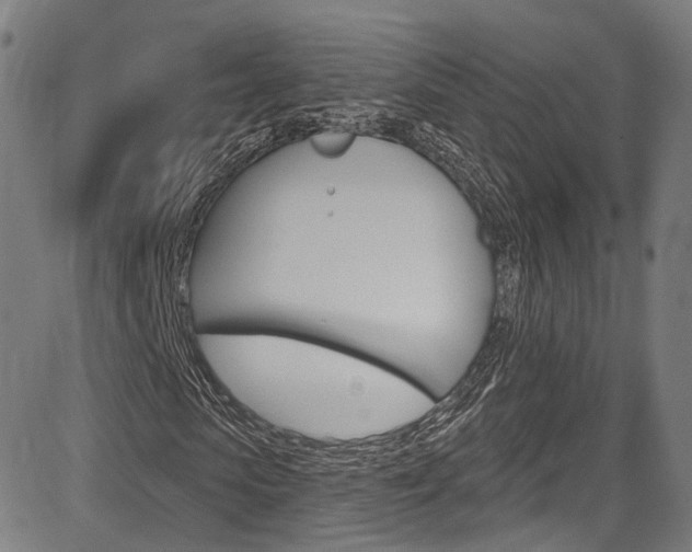 X0000085300913200703091115