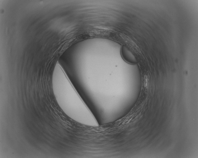 X0000085300915200703091115
